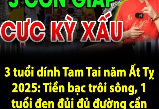 3 tuổi dính Tam Tai năm Ất Tỵ 2025: Tiền bạc trôi sông, 1 tuổi đen đủi đủ đường cẩn thận kẻo trắng tay