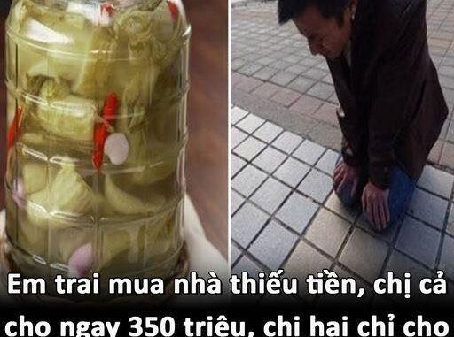 Em trai mua nhà thiếu tiền, chị cả cho ngay 350 triệu, chị hai chỉ cho vại dưa chua, 3 năm sau em trai cho chị hai 1 tỷ cúi đầu ‘cảm ơn’