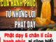 Phật dạy 6 chân lí của hạnh phúc, ai cũng biết nhưng đều bỏ qua