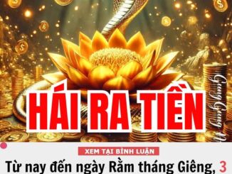 Từ nay đến ngày Rằm tháng Giêng (15/1), Chủ Nhật 9/2/2025, 3 con giáp tiền bạc rủng rỉnh đầy túi, sự nghiệp thăng quan tiến chức ‘như ngựa phi mã’