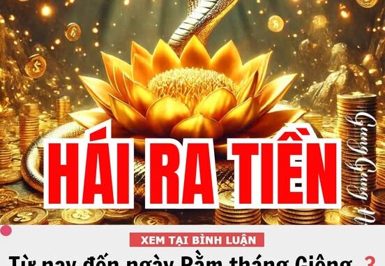 Từ nay đến ngày Rằm tháng Giêng (15/1), Chủ Nhật 9/2/2025, 3 con giáp tiền bạc rủng rỉnh đầy túi, sự nghiệp thăng quan tiến chức ‘như ngựa phi mã’