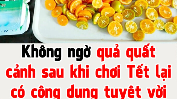 Không ngờ quả quất cảnh sau khi chơi Tết lại có công dụng tuyệt vời này, ai không biết mà vứt bỏ thì thật lãng phí