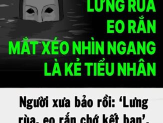 Người xưa bảo rồi: Lưng rùa, eo rắn chớ kết bạn, vì sao?