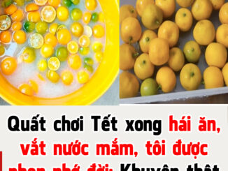 Quất chơi Tết xong hái ăn, vắt nước mắm, tôi được phen nhớ đời: Khuyên thật đừng ai ăn dù ít