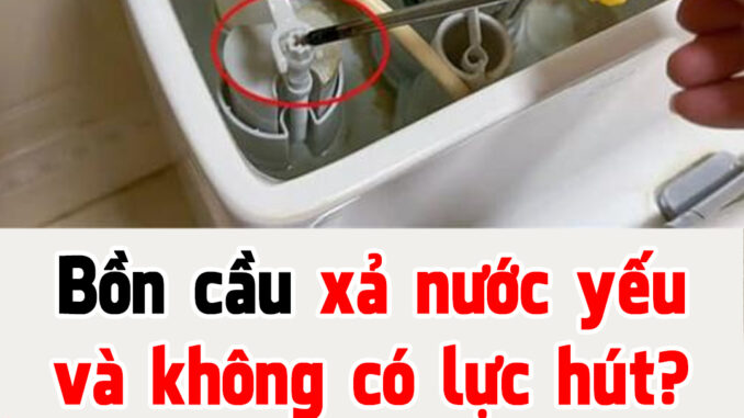 Bồn cầu xả nước yếu và không có lực hút? Thợ sửa dạy bạn một mẹo và bạn có thể giải quyết nó