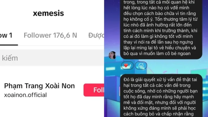 Xemesis “chỉ follow mình Xoài Non”, người trong cuộc lên tiếng