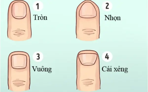 Đàn bà có ngón tay kiểu này đích thị "mệnh giàu số sướng", tiền tỷ trong tay, cư.ớp sạch vận may thiên hạ