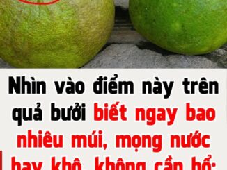 Nhìn vào điểm này trên quả bưởi biết ngay bao nhiêu múi, mọng nước hay khô, không cần bổ: Ai không biết quá phí