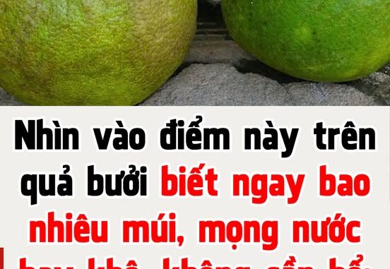 Nhìn vào điểm này trên quả bưởi biết ngay bao nhiêu múi, mọng nước hay khô, không cần bổ: Ai không biết quá phí