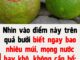 Nhìn vào điểm này trên quả bưởi biết ngay bao nhiêu múi, mọng nước hay khô, không cần bổ: Ai không biết quá phí