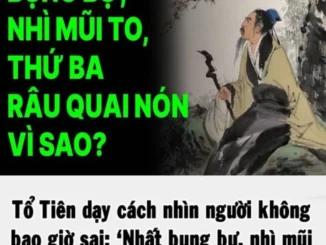 Tổ Tiên dạy cách nhìn người: ‘Nhất bụng bự, nhì mũi to, thứ ba râu quai nón’, nghĩa là gì?