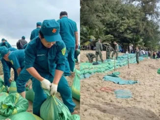 Quảng Ngãi huy động hàng trăm bộ đội, người dân gia cố khẩn cấp bờ biển Mỹ Khê