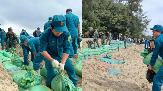 Quảng Ngãi huy động hàng trăm bộ đội, người dân gia cố khẩn cấp bờ biển Mỹ Khê