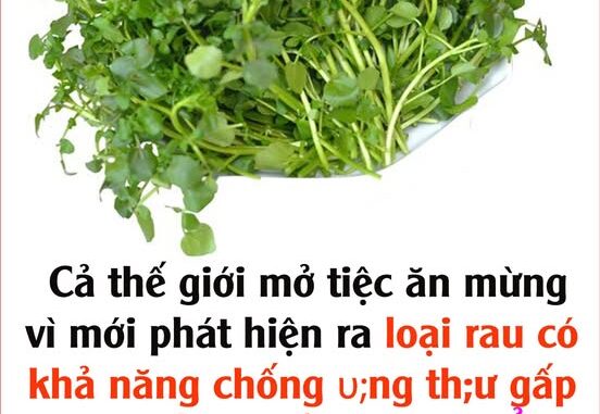 Cả thế giới mở tiệc ăn mừng vì mới phát hiện ra loại rau có khả năng chống υng thư gấp trăm lần thuốc đặc trị – Ở Việt Nam mọc đầy ra