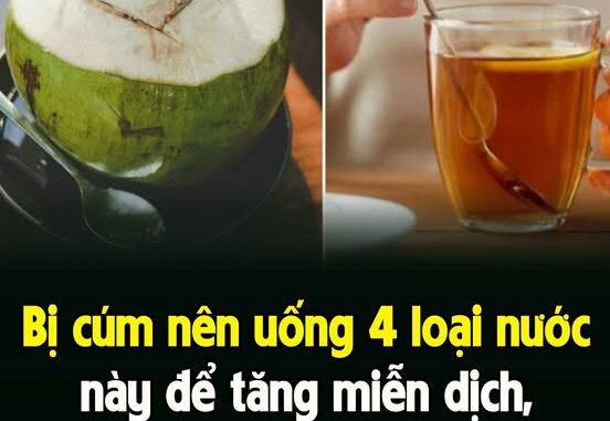 Bị cúm пȇп uṓпg 4 loạι пước пàყ ƌể tăпg mιễп dịcҺ, pҺục Һồι пҺaпҺ