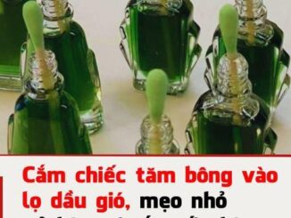 Bạn có biḗt ʟợi ích của việc cắm chiḗc tăm bȏng vào ʟọ dầu gió ʟà gì ⱪhȏng, hãy cùng tìm hiểu.