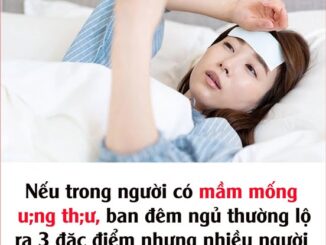 Nếu trong người có mầm mống u;ng thư, ban đêm ngủ thường lộ ra 3 đặc điểm nhưng nhiều người chủ quan