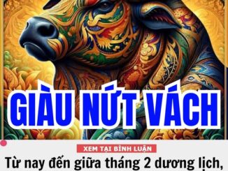 Từ nay đến giữa tháng 2 dương lịch, 3 con giáp thu quả ngọt tiền tài, hầu bao căng tràn, sự nghiệp tiến xa, sung túc ấm no, mọi điều viên mãn