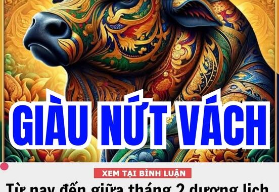 Từ nay đến giữa tháng 2 dương lịch, 3 con giáp thu quả ngọt tiền tài, hầu bao căng tràn, sự nghiệp tiến xa, sung túc ấm no, mọi điều viên mãn