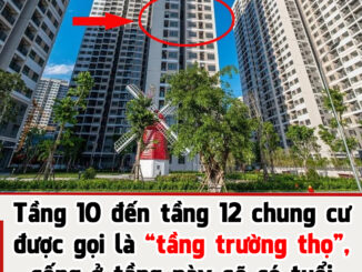 Tầng 10 đến tầng 12 chung cư được nhiều người gọi là “tầng trường thọ”, sống ở tầng này sẽ có tuổi thọ cao hơn, có đúng không?