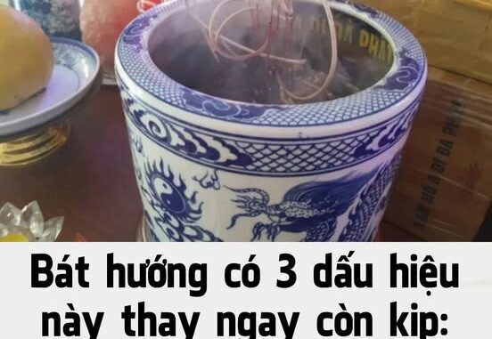 Bát hướng có 3 dấu hiệu này thay ngay còn kịp: Càng để càng đau ốm, hao tài khánh kiệt