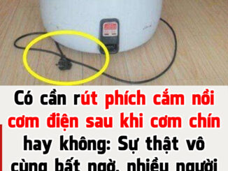 Có cần rút phích cắm nồi cơm điện sau khi cơm chín hay không: Câu trả lời thật bất ngờ