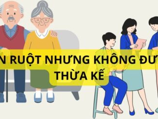 Từ ngày 1/7: 7 trường hợp con r;uột cũng không được hưởng thừa kế, lý do là gì?