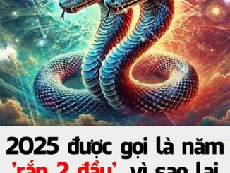 2025 được gọi là năm ‘rắn 2 đầu’, vì sao lại như vậy?