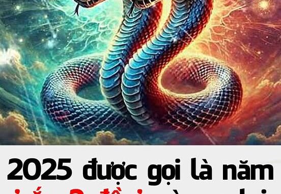 2025 được gọi là năm ‘rắn 2 đầu’, vì sao lại như vậy?