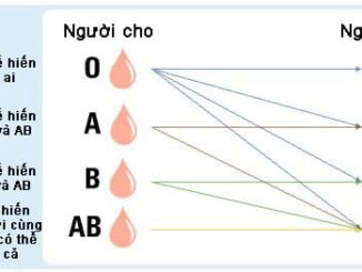 Nhất định phải biết điều này