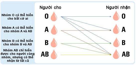 Nhất định phải biết điều này