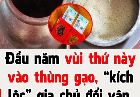 Đầu năm vùi thứ này vào thùng gạo, “kích lộc” gia chủ đổi vận, tiền đếm mỏi tay