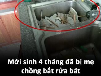 Mới s-inh 4 tháng đã bị mẹ chồng bắt rửa bát, em bỏ hết vào sọt rác rồi ôm con về ngoại luôn: Chồng biết chuyện liền làm 1 việc khiến vợ viết đơn ly hôn ngay lập tức