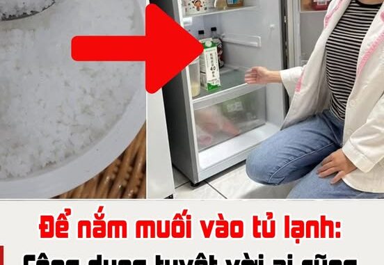 Để nắm muối vào tủ lạnh: Công dụng tuyệt vời ai cũng thích, tiết kiệm khối thời gian