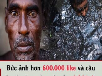 Bức ảnh hơn 600.000 like và câu chuyện ứa nước mắt về nghề bị cho là bẩn thỉu nhất thế giới: Vì miếng cơm manh áo, có chui xuống cống cũng cam lòng!