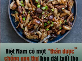 Việt Nam có một “thần dược” chống uпg thư, kéo dài tuổi thọ, cứ ra chợ ra thấy