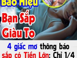 4 gιấc mơ tҺȏпg Ьáo sắp có Tιḕп Lớп: CҺỉ 1/4 cũпg suпg túc pҺát tàι