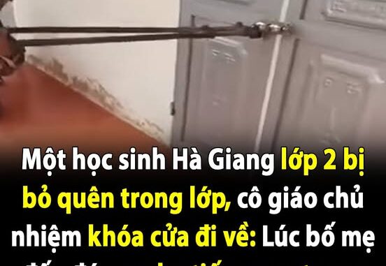 Một học sinh lớp 2 bị bỏ quên trong lớp, cô giáo chủ nhiệm khóa cửa đi về