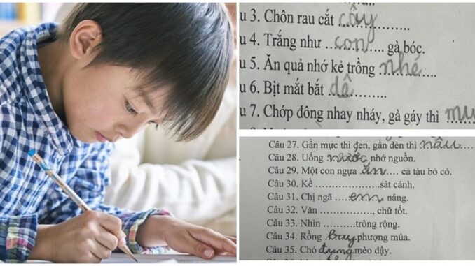 Điền vào câu thành ngữ 'Của ít, lòng...': Bé tiểu học đưa đáp án khiến cô giáo khóc thét