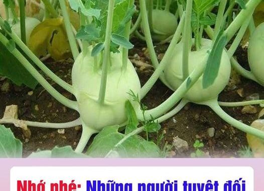 Những người tuyệt đối không ăn su hào dù thèm đến mấy