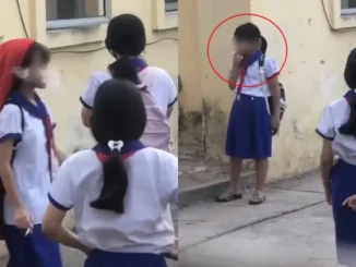 Vụ 5 n.ữ sin.h tiểu học phì phèo thuố.c l.á: Không được bố mẹ quan tâm, một em có nguy cơ nghỉ học