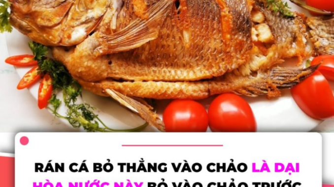 Rán cá đừng thả ngay vào chảo, làm thêm bước này cá vàng giòn, không nát hay bắn dầu