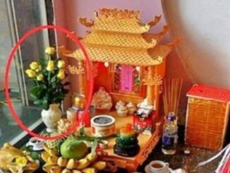 Tại sao nhà giàu thường đặt bình hoa bên trái bàn thờ? Họ thực sự rất thông minh