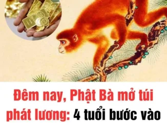 Đêm nay phật bà mở túi phát lương, 4 tuổi bước vào đại vận, giàu có ngất trời