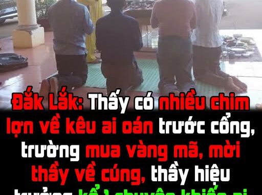 Thấy có nhiều chim lợn, trường mua vàng mã, mời thầy về cúng!