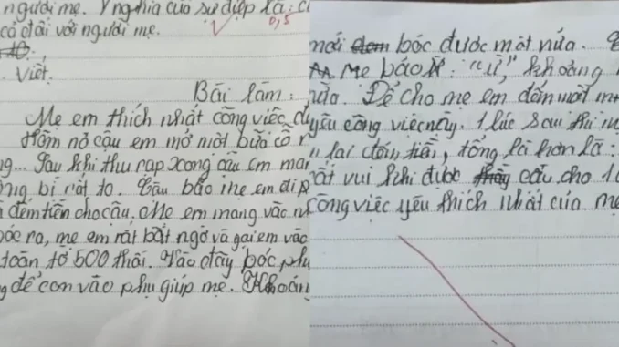 Học sinh tiểu học viết văn tả mẹ “thích nhất đếm tiền”: Dân mạng cười nghiêng ngả còn mẹ thì ngượng chín mặt