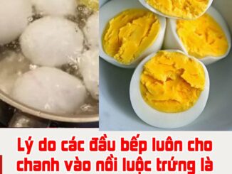 Lý do các đầu bếp luôn cho chanh vào nồi luộc trứng là gì? Biết câu trả lời ai cũng tiếc vì không biết sớm hơn