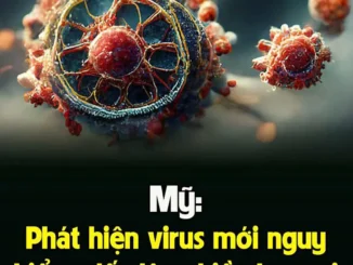 Mỹ: Phát hiện virus mới nguy hiểm, dấy lên nhiều lo ngại