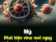 Mỹ: Phát hiện virus mới nguy hiểm, dấy lên nhiều lo ngại