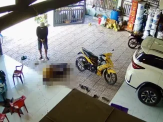 Vụ người cha b:ắn tài xế c:án ch:ết con mình, Viện kiểm sát nhân dân tối cao vào cuộc